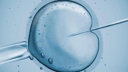 孕期营养：确保母婴健康的关键