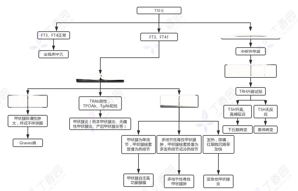 TSH、T₃、T₄、TRAb.... 甲功检查指标这么多，到底怎么看？