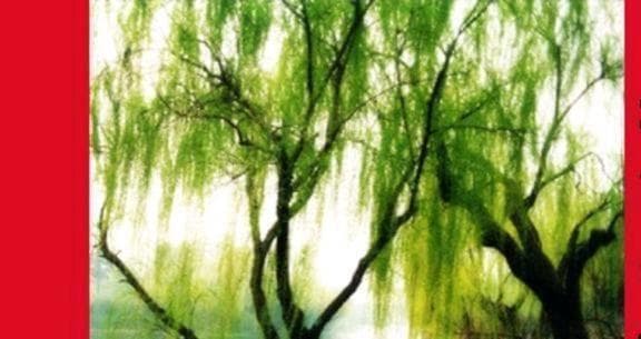 乾隆出上联“烟锁池塘柳”，一考生不去作答，反被评为状元