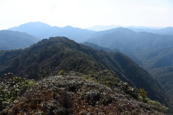 你知道吗？千年变幻中，哀牢山从西“移”到东