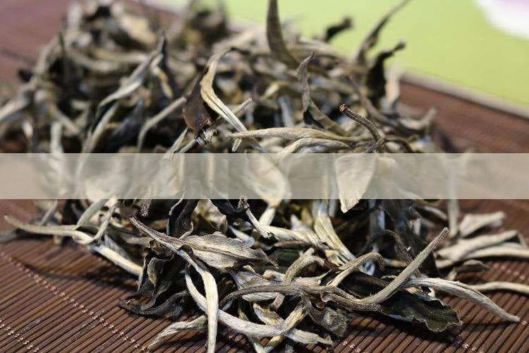 探讨适合茶叶种植的理想海拔高度