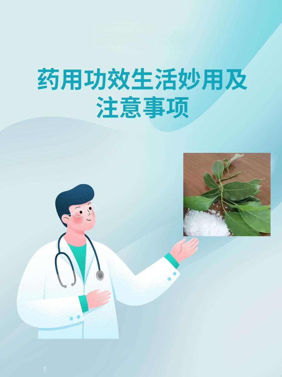 龙脑解析：药用功效、生活妙用及注意事项