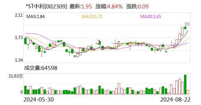 *ST中利及相关当事人被深交所纪律处分，涉及虚增营收、违规占用资金等