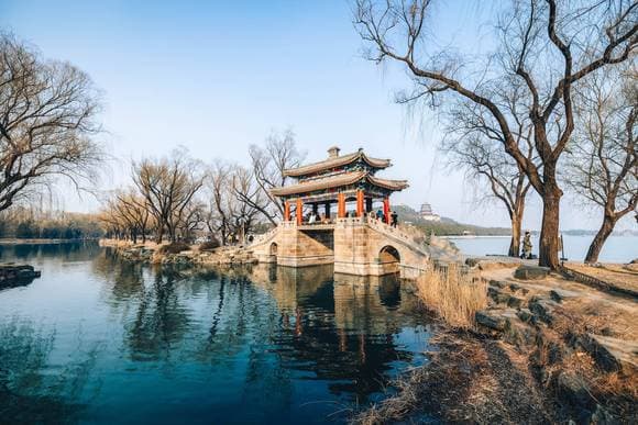 乐农轩蜡梅盛放，颐和园今春的第一波春花