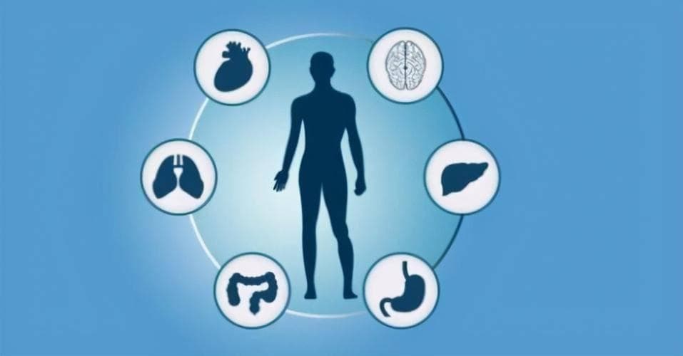 生物钟与人体健康：作息规律的科学依据