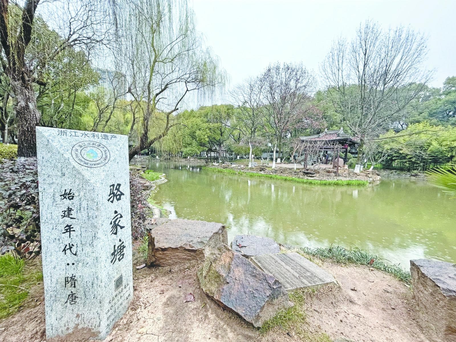 义乌“鹅文化”—— 穿越千年踱步而来