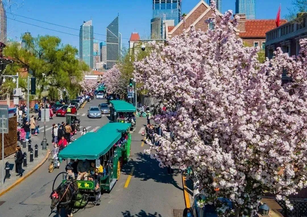 文旅市场迎来春游旺季——美丽中国 繁花盛开