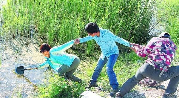 新疆中药资源普查：2471种中药材的发现之旅