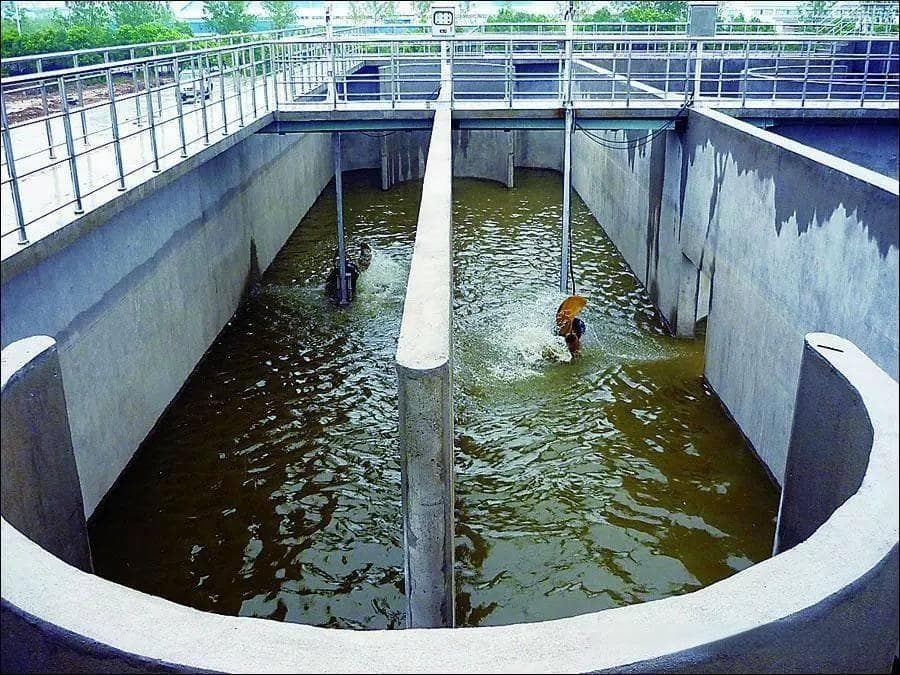 氨氮达标，总氮超标？这几种解决方案帮你轻松应对