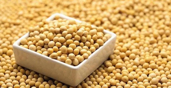 大豆蛋白好还是乳清蛋白好？哈佛大学从这一角度给出证明！