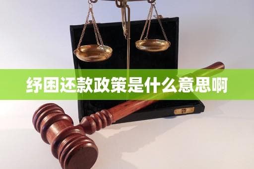 纾困还款政策：助力债务人渡过难关的金融举措