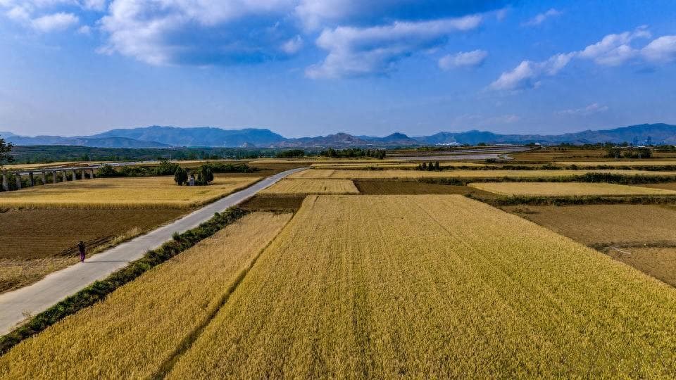 河南人究竟多爱吃面？盘点河南的8大名面，地道好吃，吃的就是这味儿！