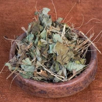 艾纳香：一种具有重要药用价值的植物