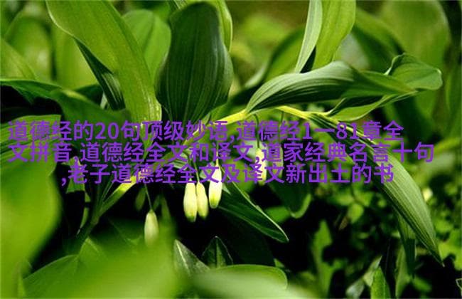 道家经典中的缘分哲学探究：从庄子到列仙传的命运论与人际关系之美