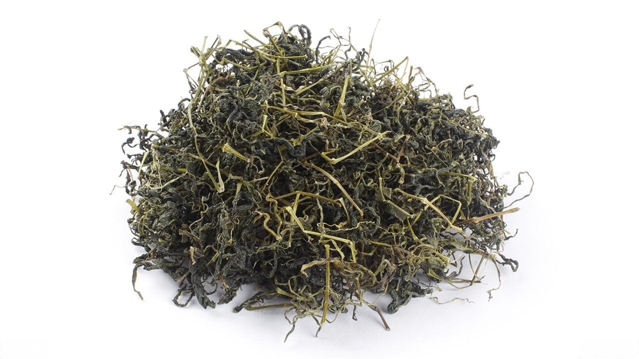 绞股蓝茶的功效和作用 绞股蓝茶现代应用方法有什么