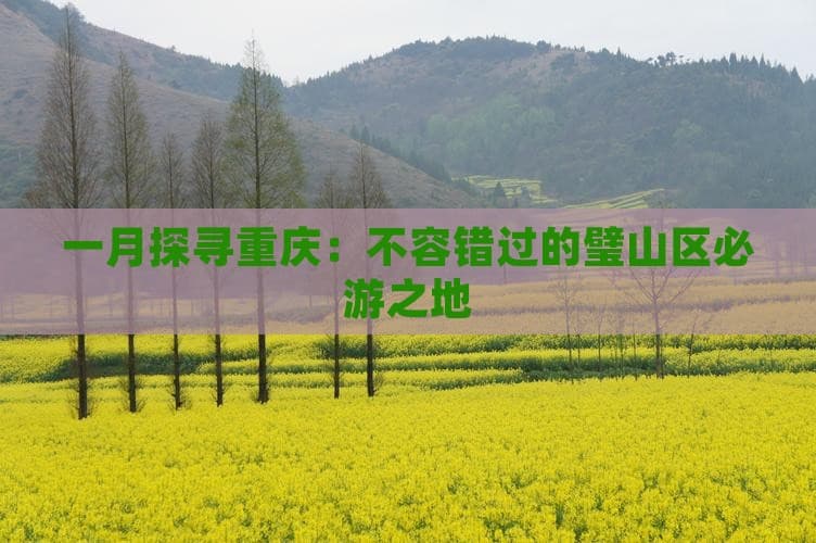 重庆璧山区旅游攻略：历史文化与自然风光的完美融合