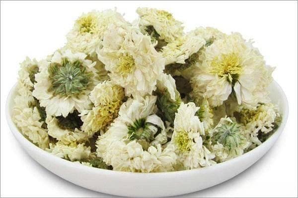 菊花泡酒的正确方法及技巧：如何选酒、搭配与泡制细节全解析