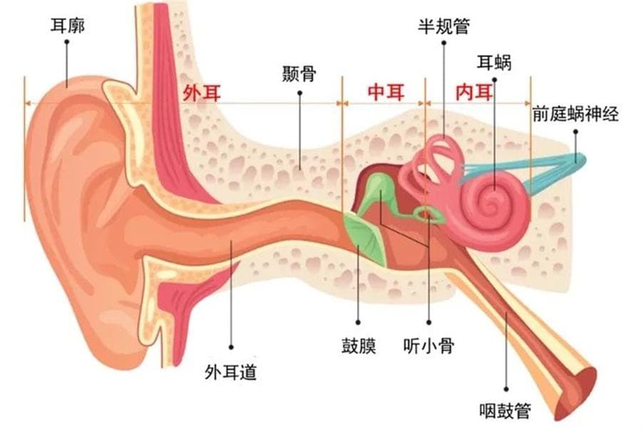 孩子得了急性中耳炎该怎样规范治疗？