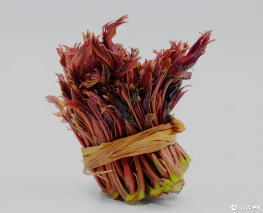 香椿芽，早春时节的特殊美味