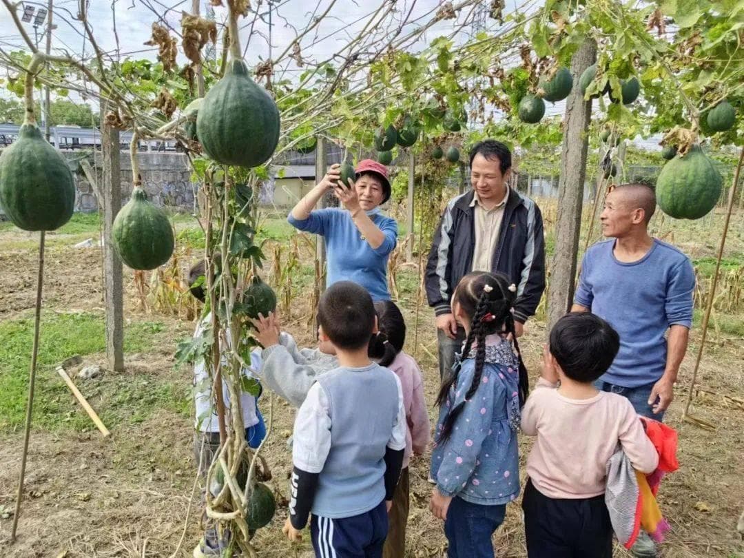 家园共育 | 探索家园社协作新思路、新模式