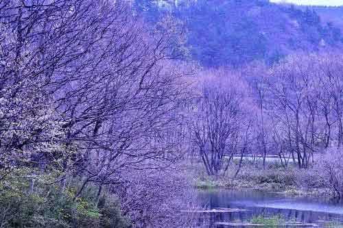 小学语文导入方法模板