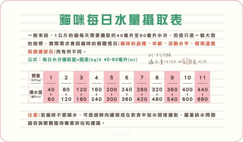 猫咪每天要喝多少水？超简单饮水计算公式