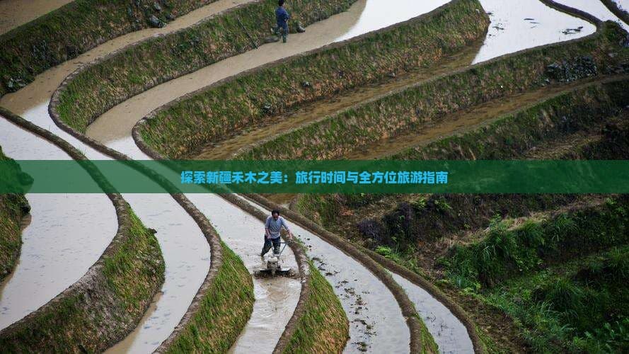 探索新疆禾木之美：旅行时间与全方位旅游指南