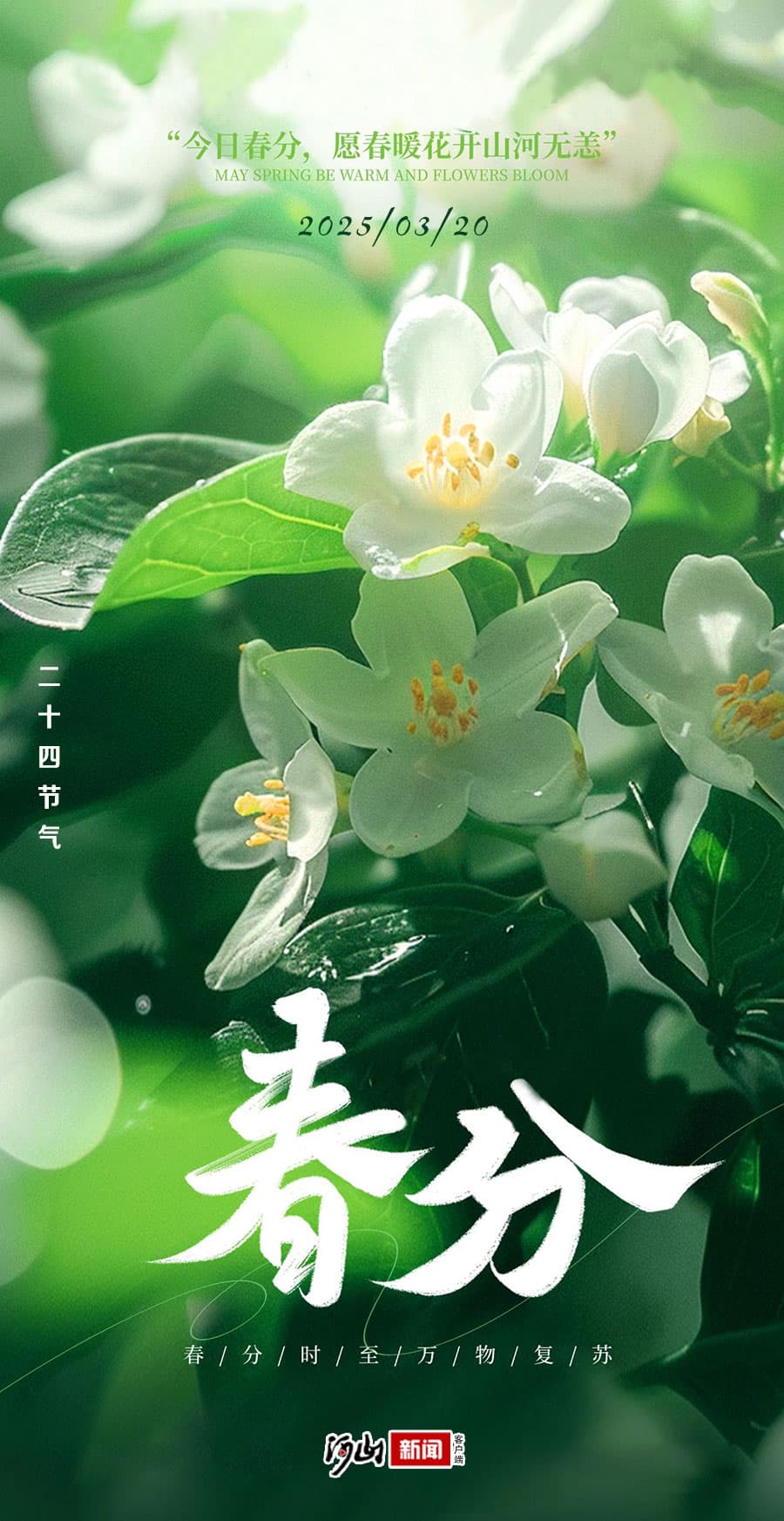 春分节气：昼夜平分，春意盎然