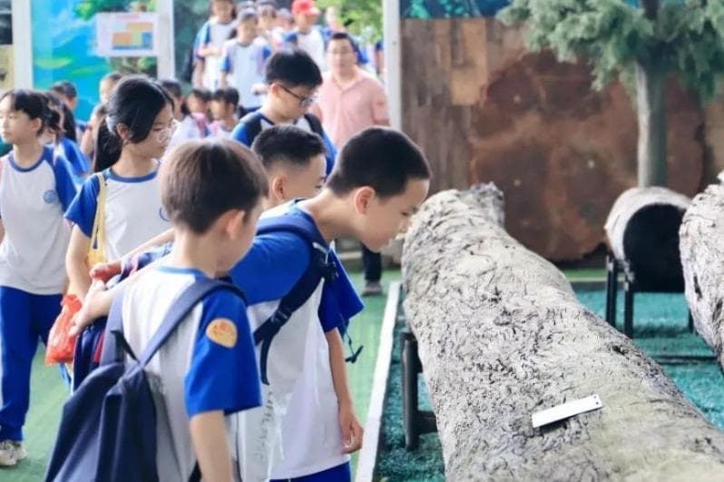 青山之变彰显文旅“蝶变” ——从三个维度看东莞观音山的2024