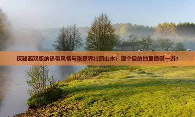 探秘西双版纳热带风情与张家界壮丽山水：哪个目的地更值得一游？
