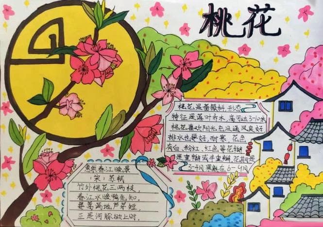 特别的手抄报有哪些？告别平庸！创意手抄报：特别之处大盘点!