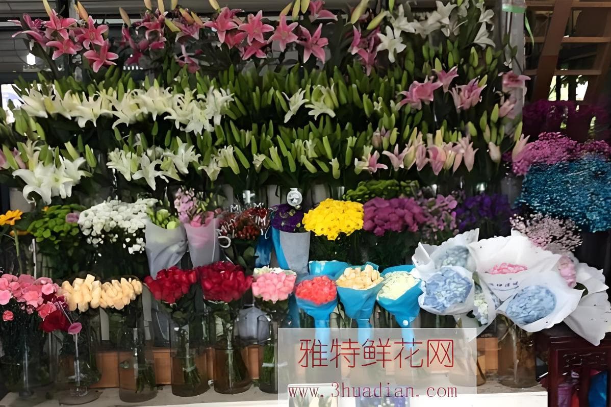 想念一个人用什么花 花语表达思念的花有哪些