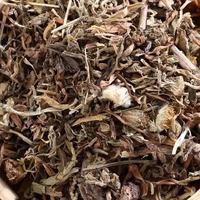 蒲公英：田野里的“天然消炎药”