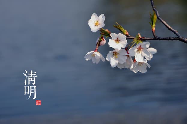 清明节：一个富有特色的传统节日