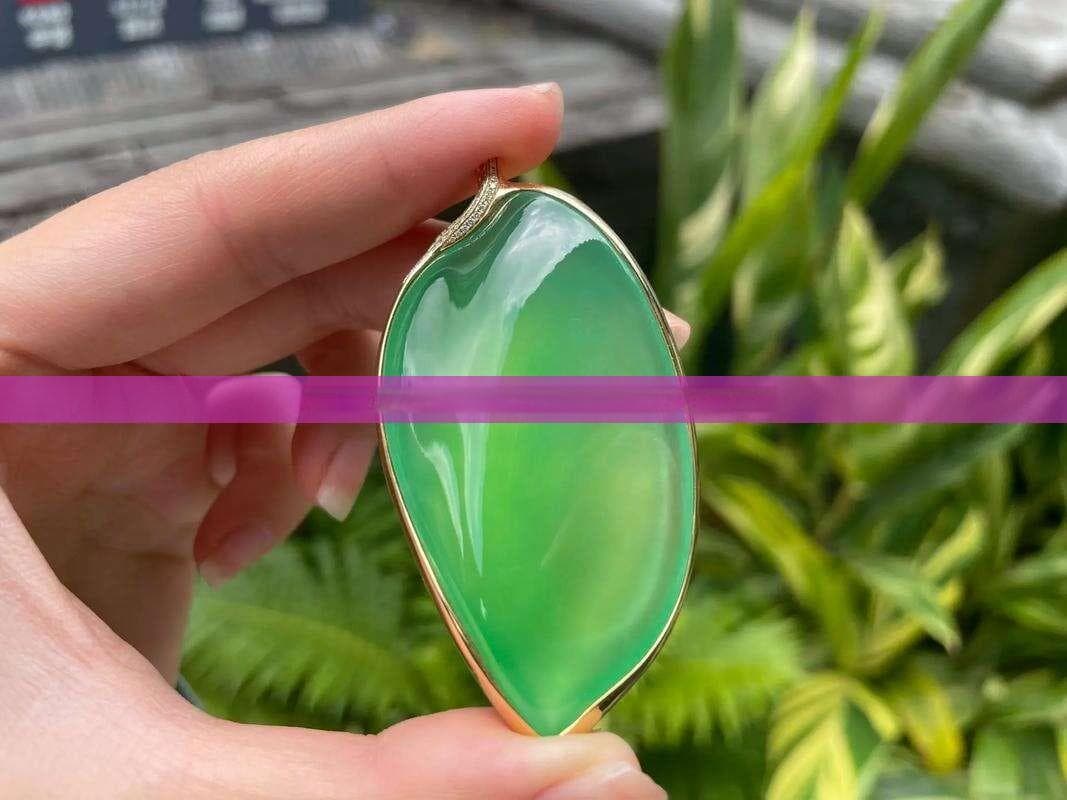 星月菩提与白玉菩提对比分析：特性、盘玩与美观性全面解析