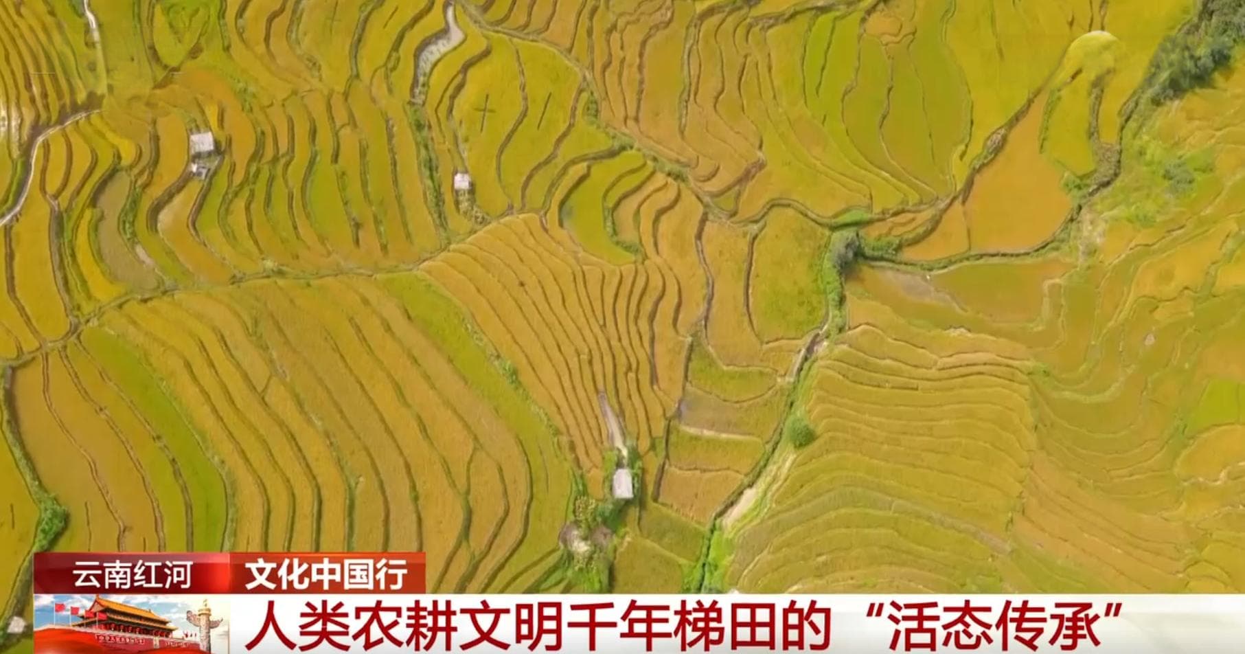 哈尼梯田：人类农耕文明千年梯田的"活态传承"