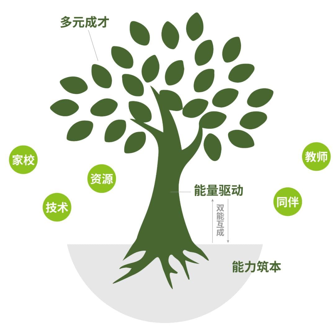 一贯制办学，一体化育人，课程如何构建？