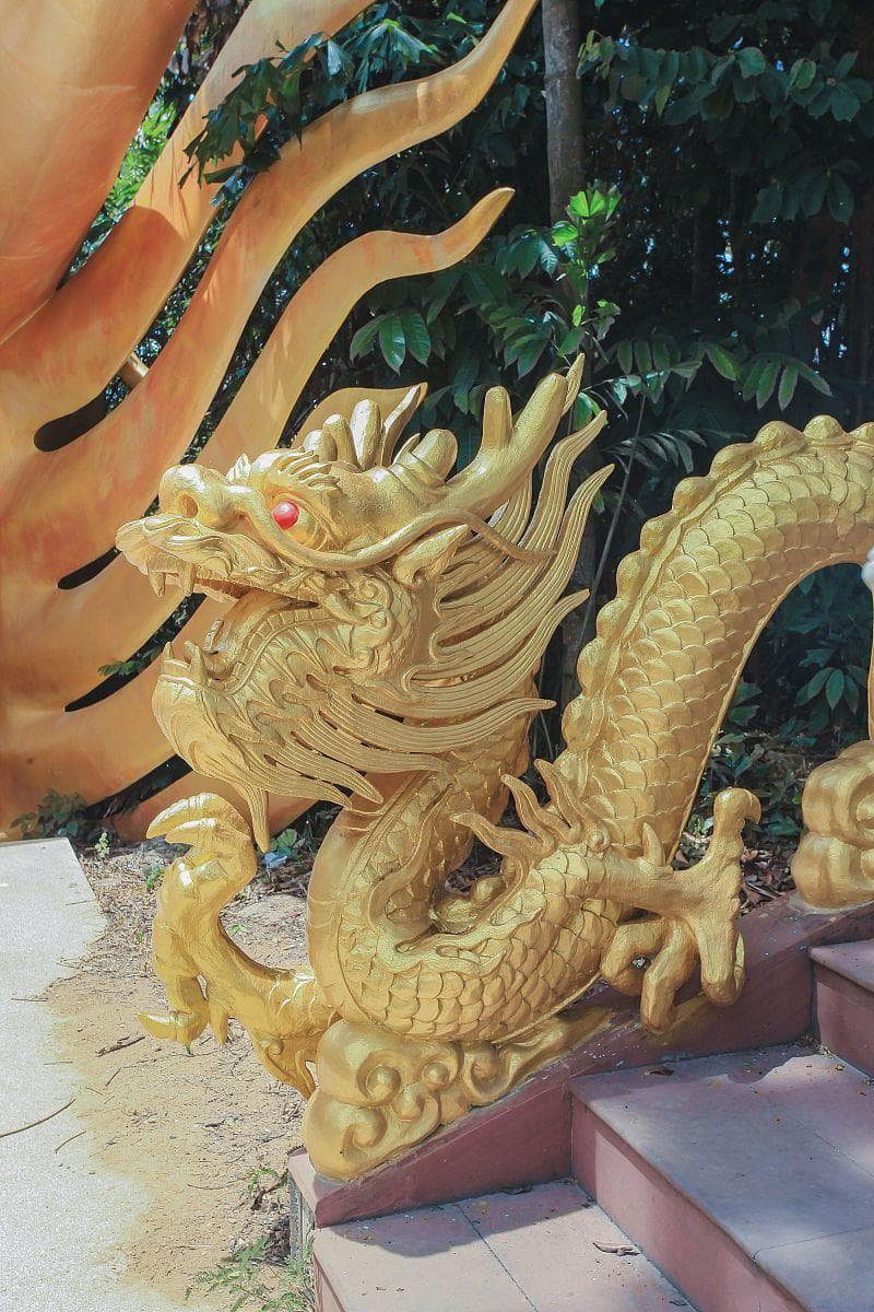 五爪金龙真相：不是五只爪子，而是权力与文化的象征