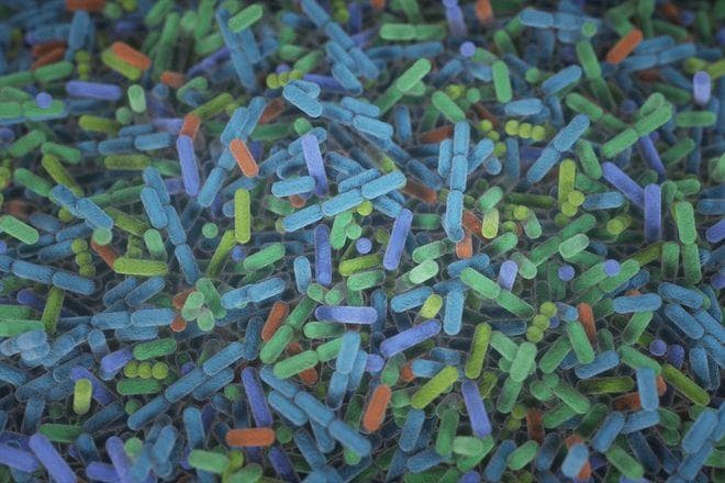 MIT研究：肠道细菌CRISPR防御系统每三年更新一次，为疗法带来新启示