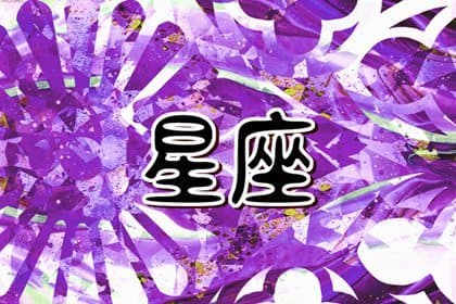 十二星座的项链是什么样子的 十二星座专属项链