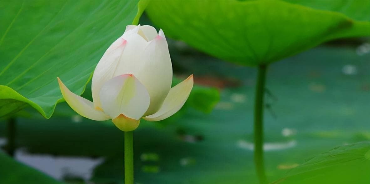 人到中年，看清“朋友圈”