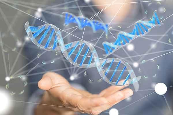 奥尔布赖特综合征样掌骨和跖骨缩短症：病因、症状与诊断方法详解