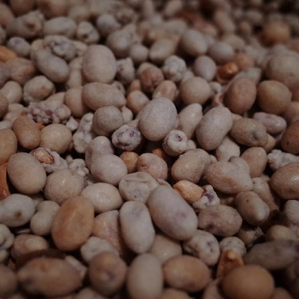 减脂期间可以吃花生吗？营养师教你正确食用方法