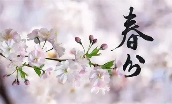 幼儿园春分主题教育活动方案，带孩子感受盎然春意