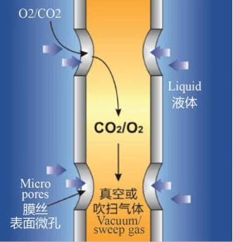 新型膜法加气技术解决半导体纯水防静电难题