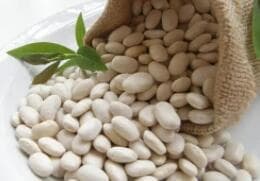 白芸豆的六大营养价值及其提取物的应用