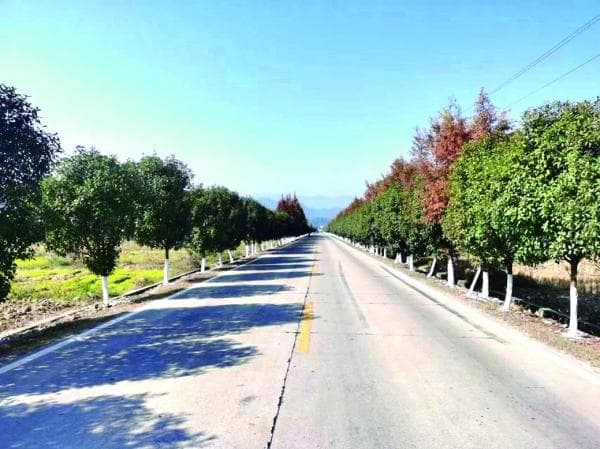 加快基础设施建设 奏响乡村振兴强音——新化县农村基础设施提质增效