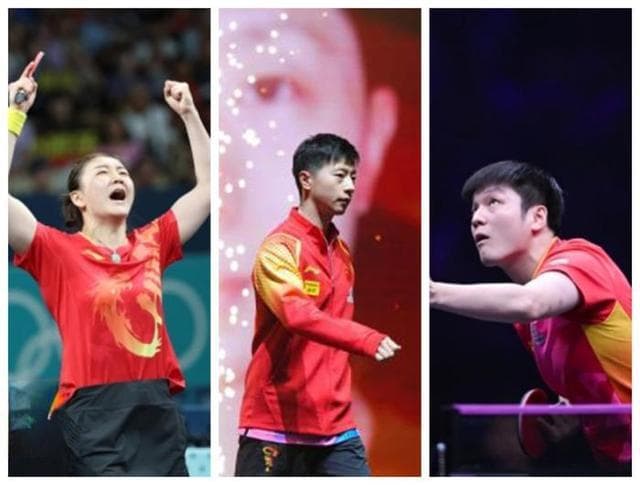 马龙樊振东陈梦退出世排有何影响？专业人士：国内赛事没影响，国际大赛影响不小