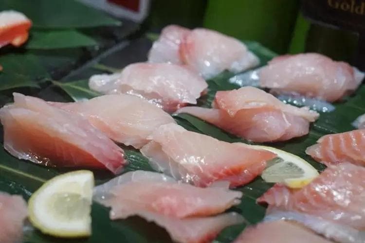 为何Omega3脂肪酸对脑健康有帮助？生食鱼肉会更营养？（附视频）