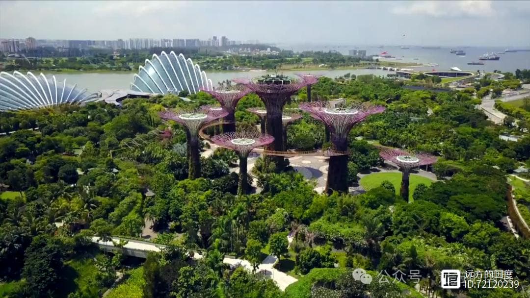 滨海湾花园：新加坡的绿色之心